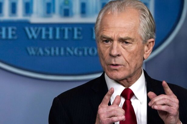Peter Navarro